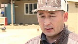 «Замуж за насильника» «Замуж за насильника»