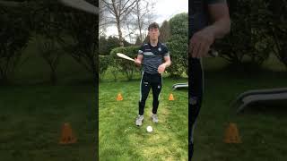 Dribble - Hurling screenshot 5