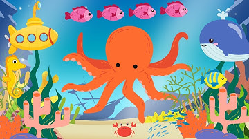 Ocean Melody: A Baby Sensory Video with Visual Stimulation and Brain Development | High Contrast