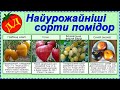 Найврожайніші сорти помідор (високорослі)