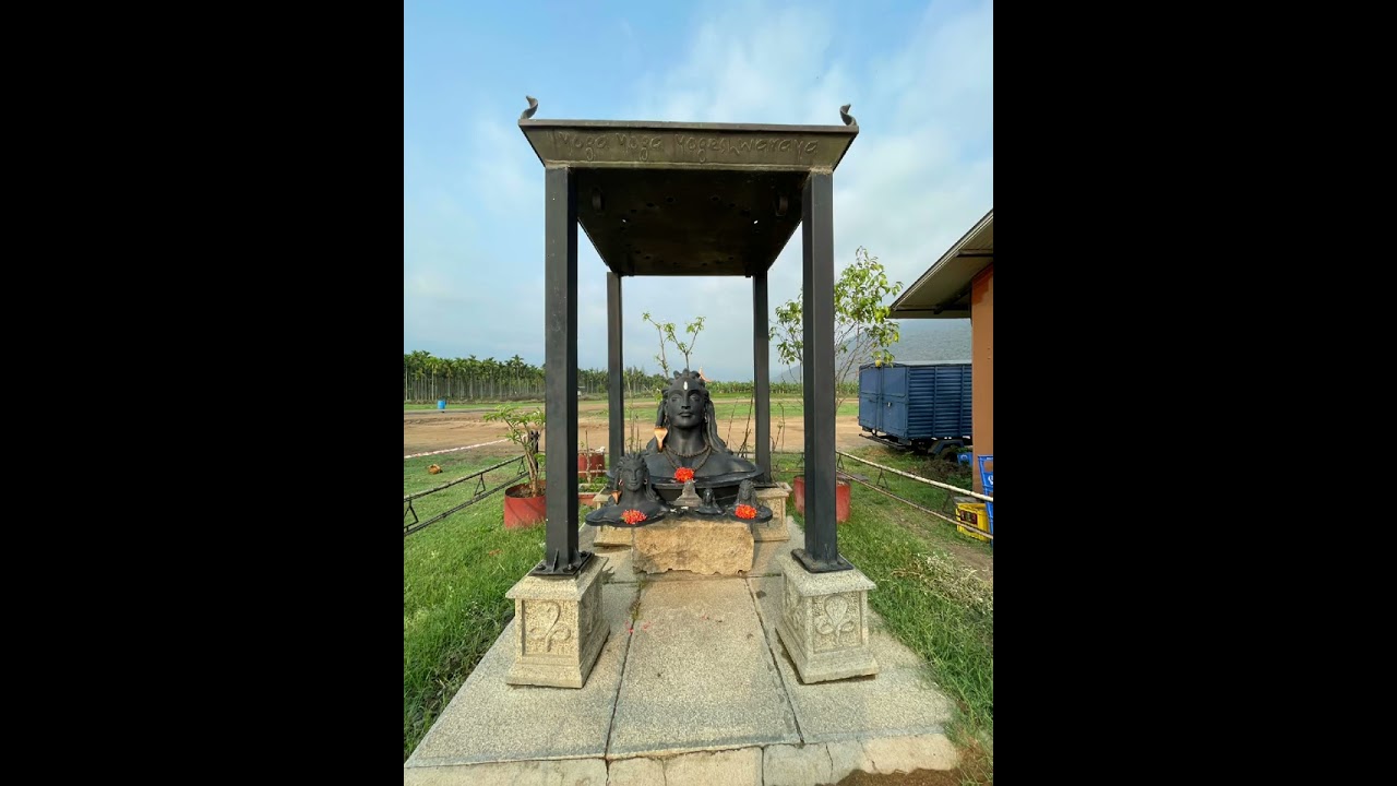 save soil save life...