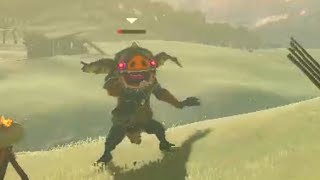 Terrorizing Bokblins is fun (ignore my bad skills lol) | Zelda Breath of the Wild