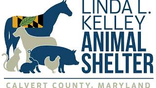 70 dogs taken from a home in Calvert County, Maryland