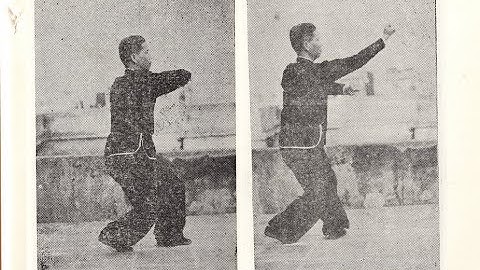 崩捶 Part 36: Recovery After Failed Elbow [Praying Mantis Kung Fu 螳螂拳]