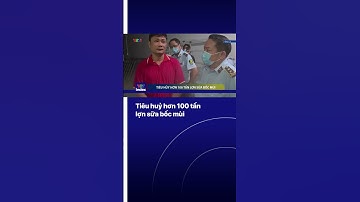 Tiêu hủy hơn 100 tấn heo sữa bốc mùi | VTVIndex