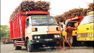 story wa truck muatan tebu 2021