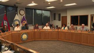 Washington County takes final vote on Flock camera funding ban