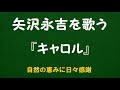 『キャロル』/矢沢永吉を歌う_6183 by 自然の恵みに日々感謝