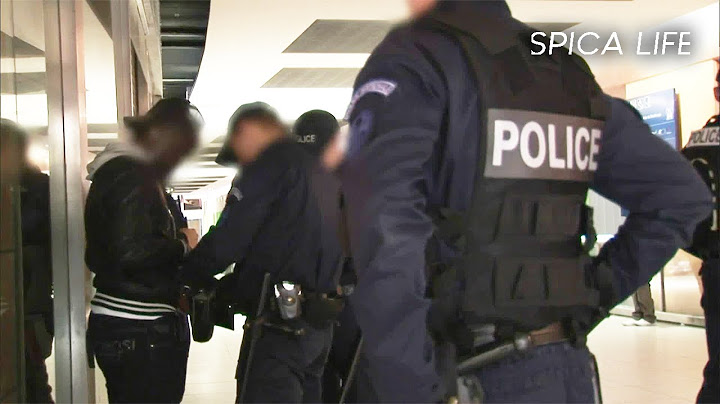 Insécurité dans les transports parisiens : police sous tension