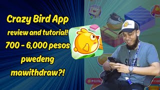 LEGIT BA ANG CRAZY BIRD? CRAZY BIRD STEP BY STEP GUIDE REVIEW AND TUTORIAL screenshot 4