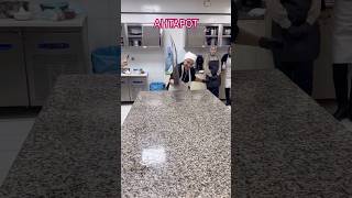 Ahtapottan Öğrendiklerim.. Bugün Aşçılık Kursumuzda Deniz Ürünlerinden Yumuşakçaları Işledik