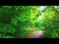 DJI 2 Mavic Air 2 - Der 2. Flug eines Anfängers