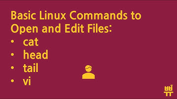 2. Linux Commands (리눅스 명령어) to Open and Edit Files: cat, head, tail, and vi