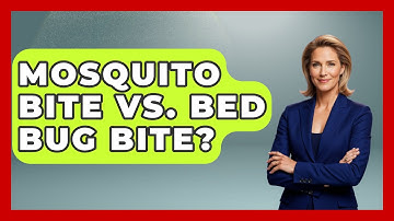 Mosquito Bite Vs. Bed Bug Bite? - Exploring Campgrounds