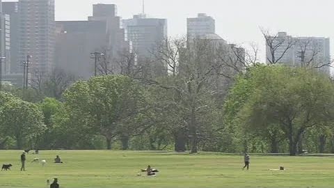City of Austin collecting feedback on potential Zilker Park changes | FOX 7 Austin