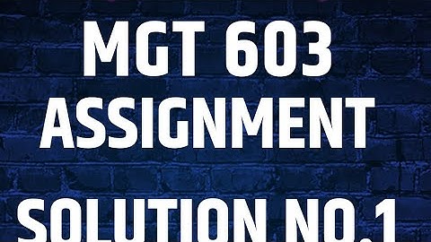 MGT603 Assignment solution no 1 2023