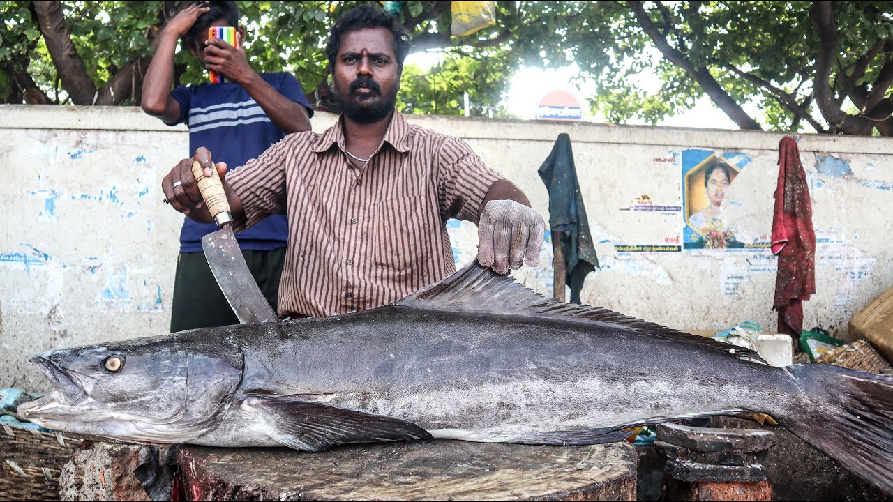 BIG FISH CUTTING IN KASIMEDU FISH MARKET CHENNAI, TAMILNADU, INDIA