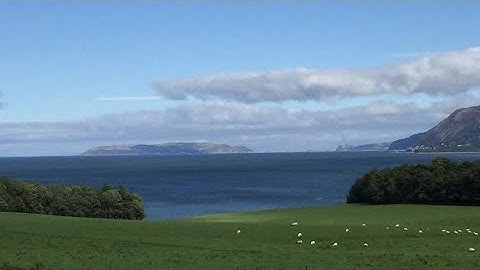 أجمل تلاوة من سورة العنكبوت بصوت القارئ إِسلام صبحي | ارح مسمعك وقلبك | كل نفسٍ ذائقة الموت 🌿