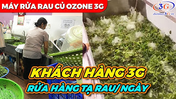 Bàn Giao Máy Rửa Rau Củ Quả Sục Khí Ozone Tại Long Biên, HN| Điện Máy 3G