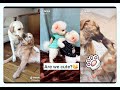 😘😘Kiss My Best Friend  🐶 Cute  Animals compilation 😏#16--2020 June