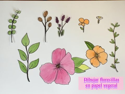 Tutorial de como hacer papel vegetal, cebolla o de calcar — Steemit