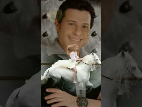 هاني شاكر انا تايه