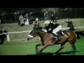 A tribute to Red Rum {If today was your last day} RIP champion