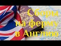 Как поехать на ферму в Англию. Сборы, документы, деньги.  Вся правда!