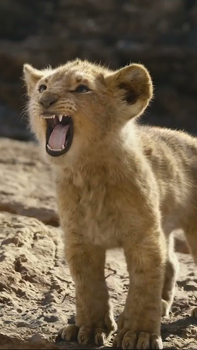 Lion King 👑 Simba | Whatsapp Status