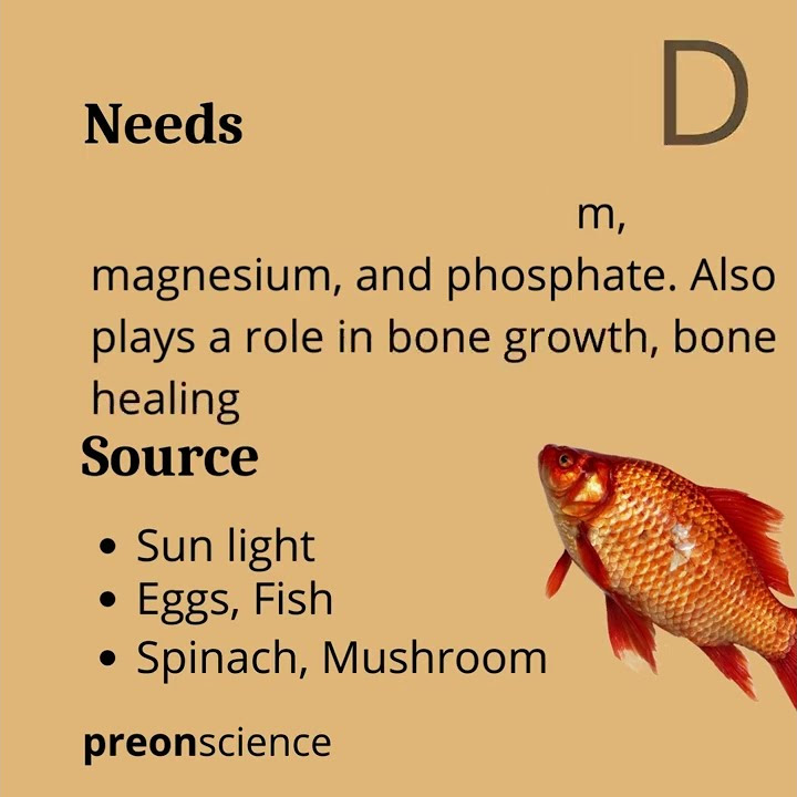 Vitamins and their Source Vitamin A, B, C, D, E, K YouTube