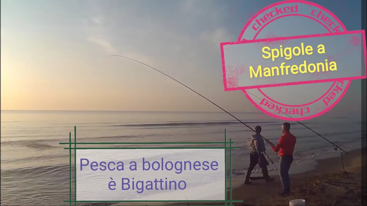 Pesca a Bolognese dalla spiaggia con Spiegazione della Montatura YouTube Pesca a Bolognese dalla spiaggia con Spiegazione della Montatura YouTube