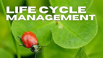 PgMP.3.12 - Life Cycle Management