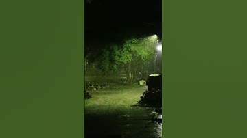 Rainy Days in Dooars | A Relaxing Rainfall Compilation #amazing #nature #dailyvlog #doors #rain