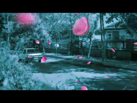 رغم كل الثقه قلبي انا في الهوا خايف على الحب خاايف