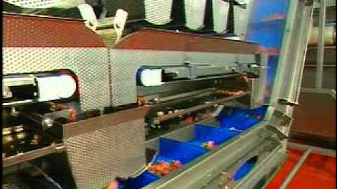 SF Engineering Fresh Food Weighing On Red Meat