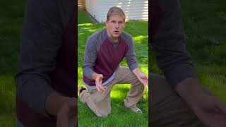 How THICK is THAT Lawn How THICK is THAT Lawn