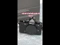 Nikon ZF là chiếc máy có quá nhiều sự đáng yêu #nikonzf #zfnikon #mayanhnikonzf #mayanhzf