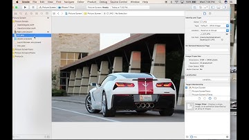 How to Insert an image into your xCode IOS App