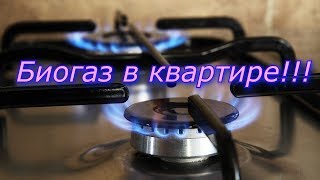 Биогаз в квартире /  Биогаз и газгольдер в домашних условиях // Установка биогаза