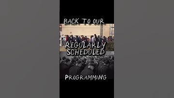 🐑Back to Our Regularly Scheduled Programming: The Weak Daze🗓️