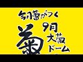9月の菊(凡凡圃場)