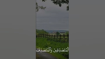 ما تيسر من سورة الاحزاب #فلسطين #اكسبلور #قرآن #ماهر_المعيقلي سبحان الله و بحمده سبحان ربي العظيم🌷☁️