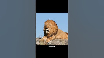 The average CS:GO conversation😂 #ohnepixel #cs2 #hopecore