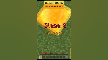 Minecraft Honey Block 🍯 MLG | Dream Cluch 🙂 #shorts #minecraft