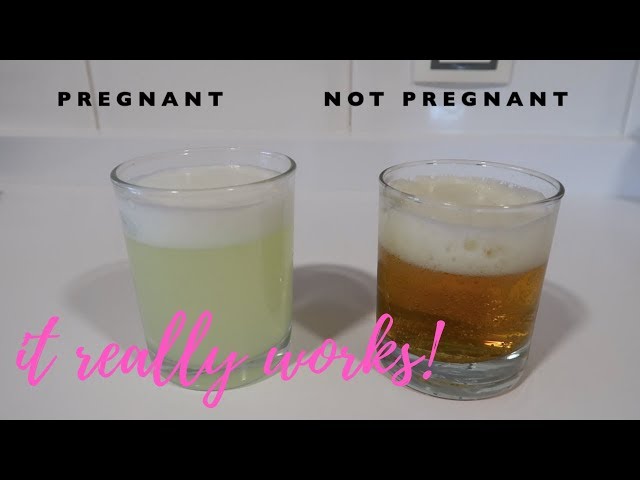 Homemade pregnancy test using urine and bleach - it really works
