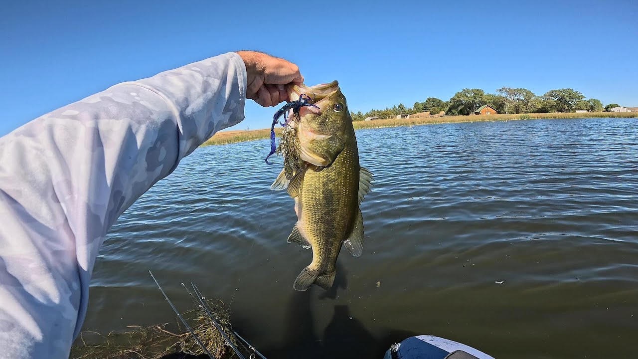 Camping and Fishing, Black Bass