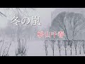 冬の嵐