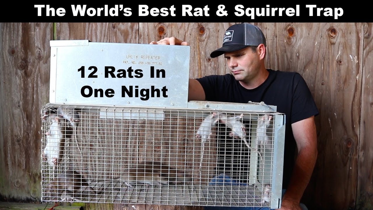 Mouse Rat Chipmunk Squirrel Sherman Live Humane Animal trap professional XLKR 