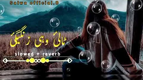 talai wahi zangigi pashto new song (slowed + Reverb)