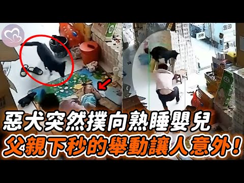 惡犬偷溜進門撲向嬰兒，爸爸瞬間被驚醒，下秒的反應令人意外！#暖心  #正能量 #淚目 #生活 #溫暖 #社會新聞 #感人 #感動 #暖心時刻 #感人一幕 #監控下的一幕